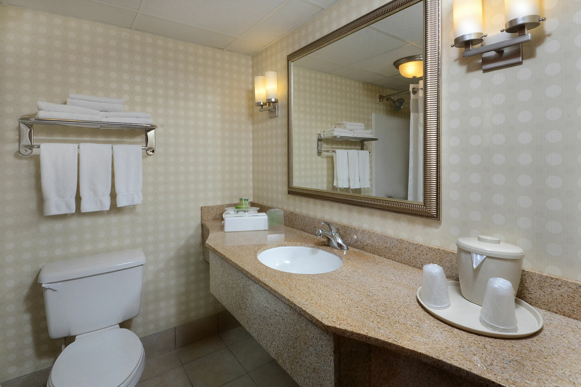 Holiday Inn Express Hotel & Suites Greensboro - Airport Area By Ihg Exteriér fotografie